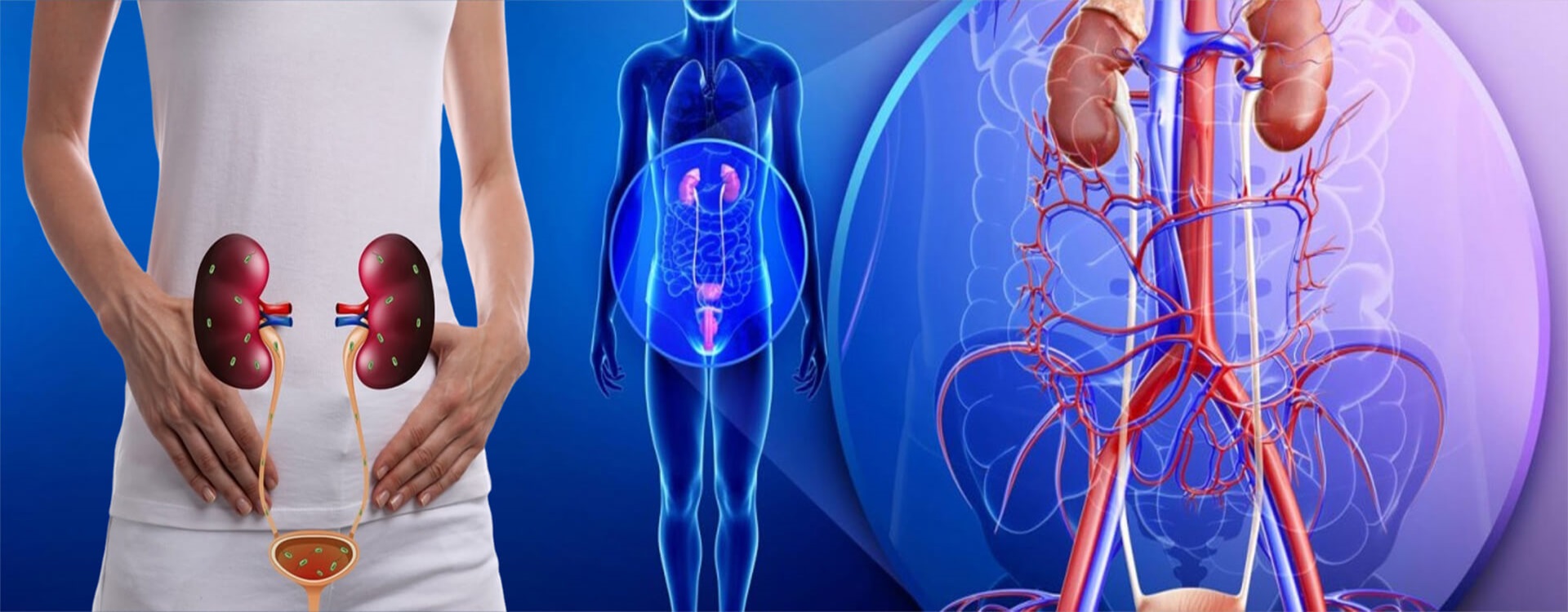 Society of Genito Urinary Surgeons