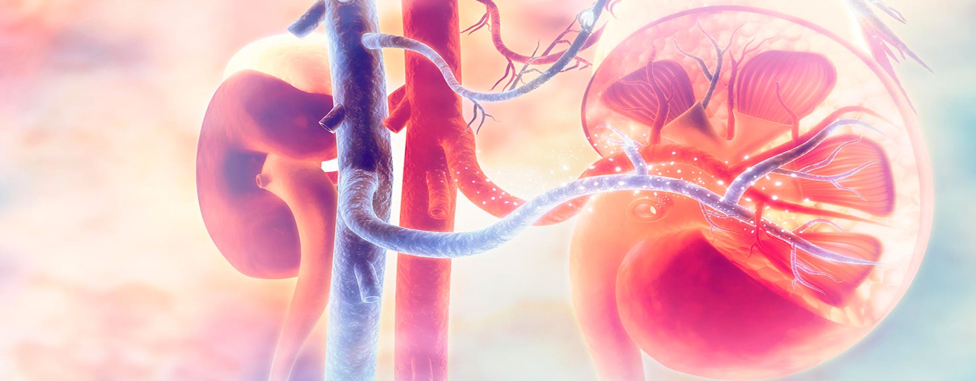 Society of Genito Urinary Surgeons